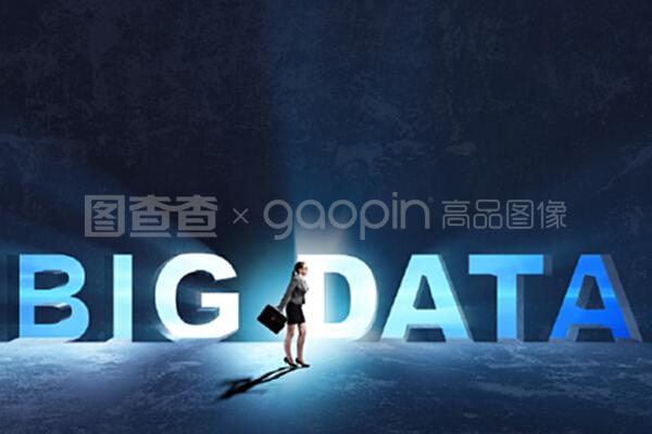 女商人的大數據概念